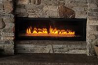 Dreifuss Fireplaces image 2
